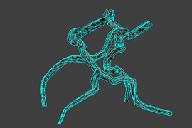 l18_road_root04