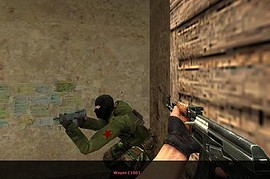 Chinese Rebel ARCTIC Skin