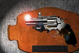 Urban Warfare Series .357 [CZ]