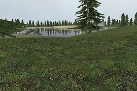 gm_wildforest