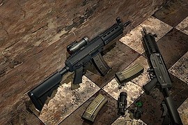 SIG 552