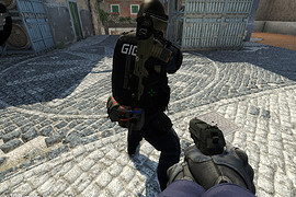 AUG Tactical Rifle | Hostage Situation