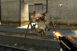 Modular Combat