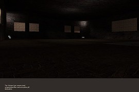 dm_arena_v1