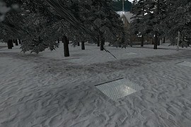 dm_winter_forrest_beta