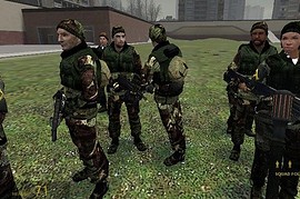Firestrom's Camo Rebels v.2