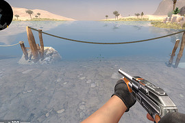 Shotgun