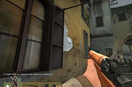 Sh1fty_s_Lightood_M1_Garand