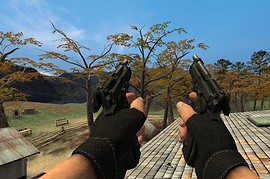 Arizona_s_Palm