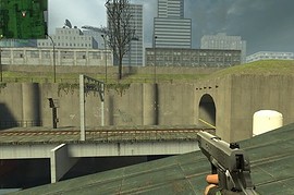 M1911A1 SWAT Custom