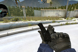 Magnum