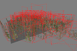 grass_pack_big2