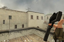 Fluffeh's beat up deagle
