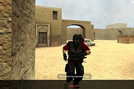 Red And Grey Phoenix Skin