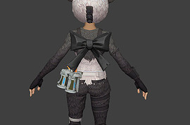P.A.N.D.A Team Leader