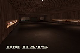 dm_hats