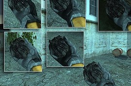 HL 2 rotten bugbait