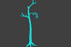 !tree_05