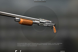 Shotgun