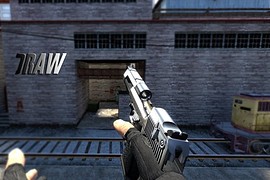 Eagle Animations