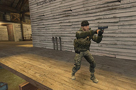 BF3 Terrorists