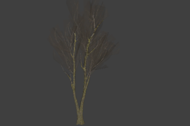 !tree_16_01