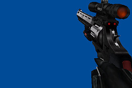 Taurus Raging Bull Two-toned