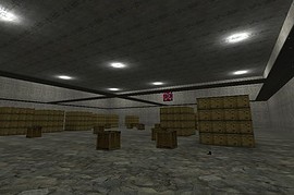 dmt1_map8b