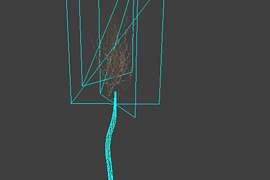 l10_swamp_kamysh_tree1