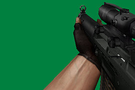 SIG 552 SD