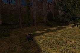 dm_sorrow