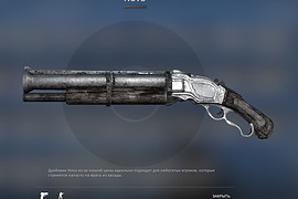 Shotgun