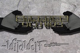 Strange_gloves_=D