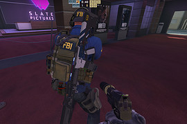 M16A2 Police
