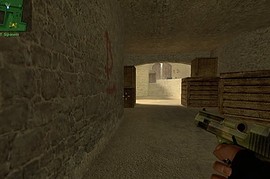 deagle w camo