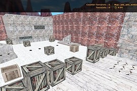 aim_ann_winter