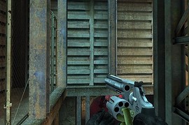 Futon's 357 Skin