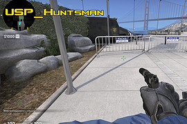 Pistol + knife