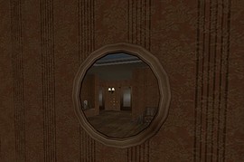 Frame Mirror