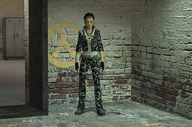 Alyx Better Camo Skin