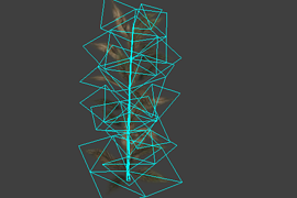plant6
