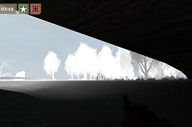 dod_forest