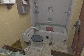 dm_roaches_wc