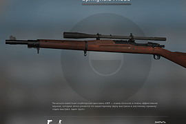 Springfield M1903