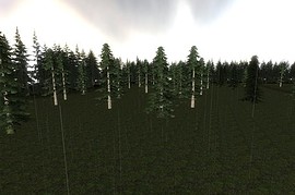 Lakeside