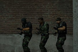 SOG_M37_SEAL_PUP