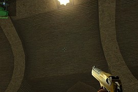 Phonged Two Tone Gold Deagle