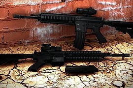 Twinke_and_AcidSnake_HK416