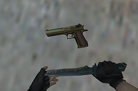 Hav0c Deagle AntiPirate Anims