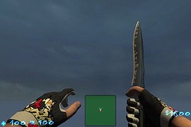 Jen_Gloves